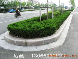 五莲县正发石材厂 匠心雕琢自然之美，品质铸就石材典范